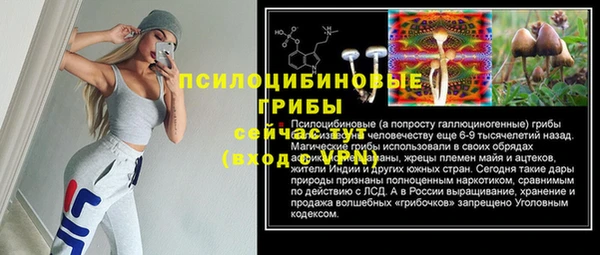 ПСИЛОЦИБИНОВЫЕ ГРИБЫ Абдулино
