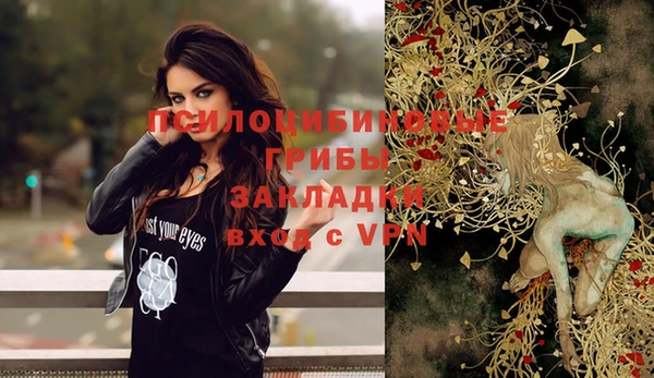 ПСИЛОЦИБИНОВЫЕ ГРИБЫ Абдулино
