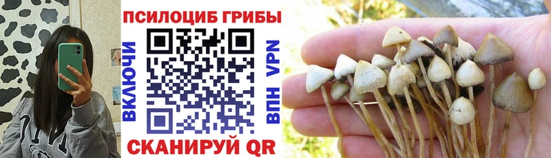 наркошоп  Темников  Галлюциногенные грибы мицелий 